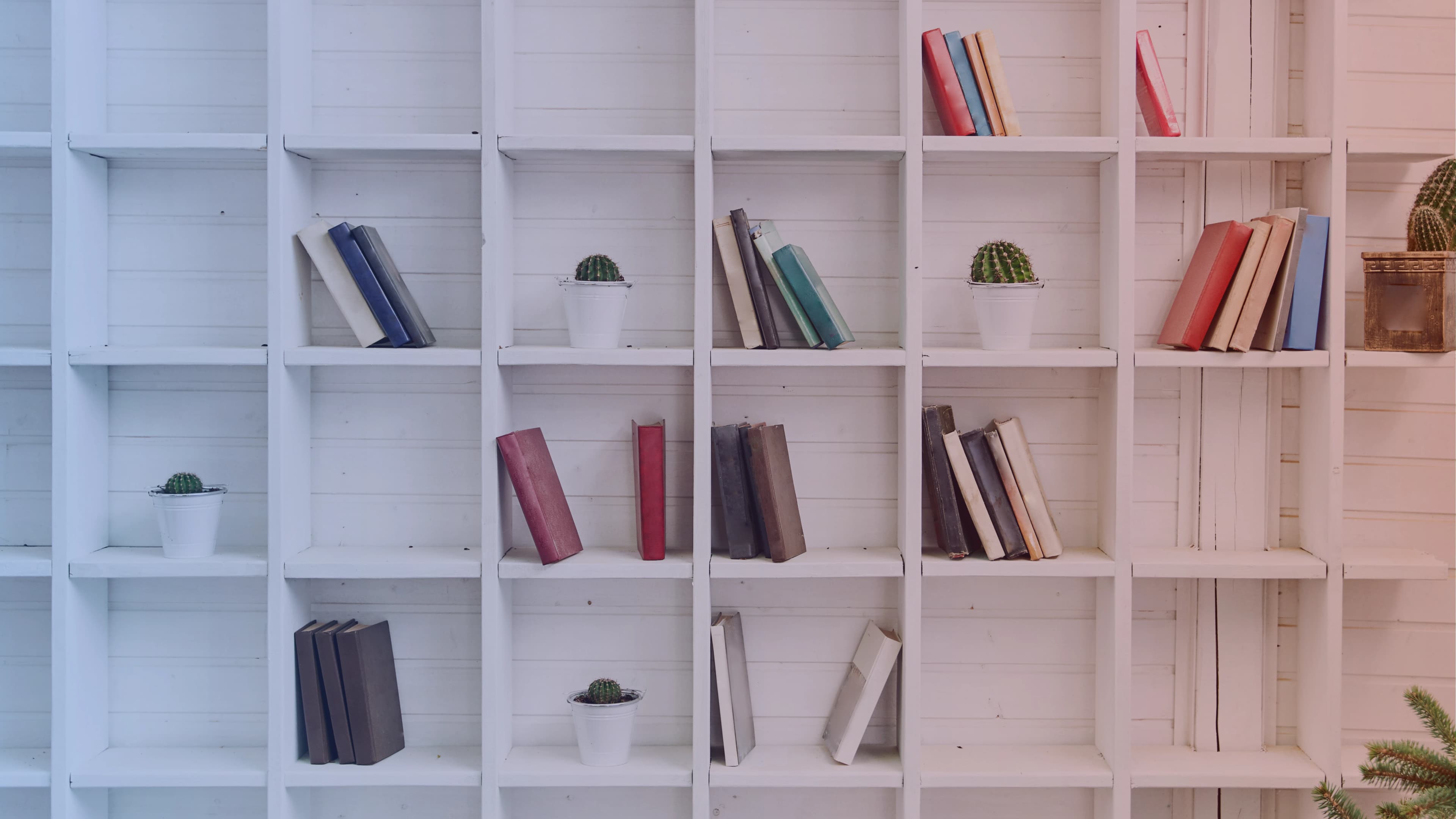 Book Reviews Banner