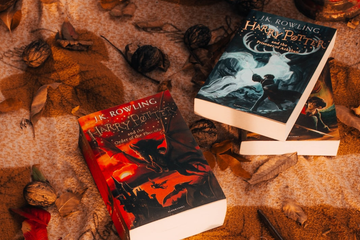 From Hogwarts to Adulthood: The Timeless Charms of JK Rowling's Harry Potter Series